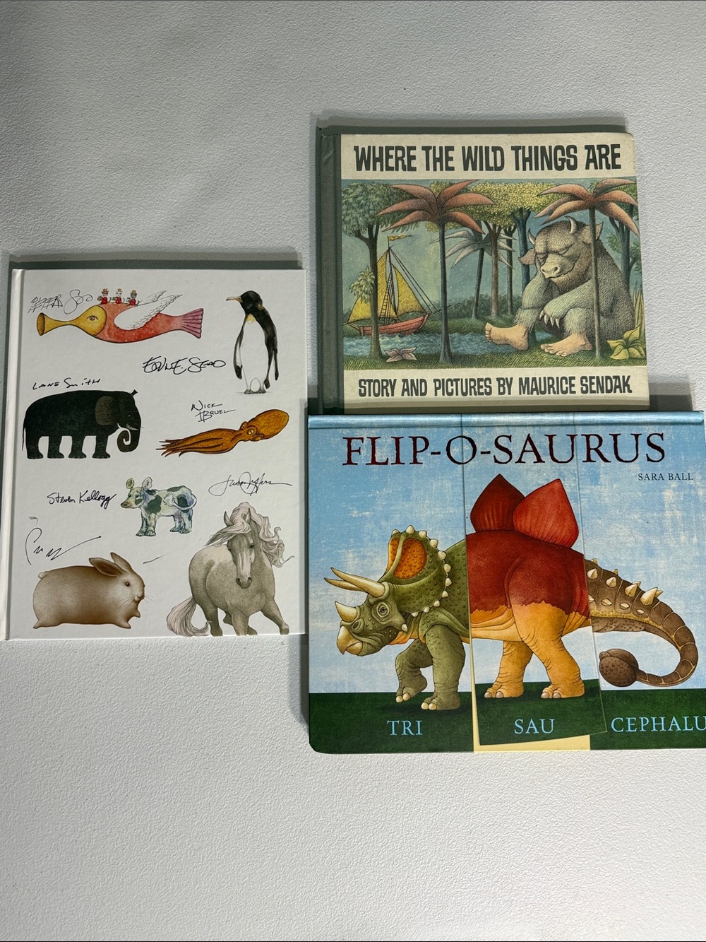 Bundle of 3 children’s books